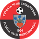 FK米耶尔库雷亚丘克logo